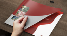 &#27431;&#23453;&#32593;&#39029;&#29256;&#30331;&#24405;&#20837;&#21475;&#45;&#27431;&#23453;&#40;&#20013;&#22269;&#41;